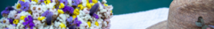 Banner de la categoría CAJONES GRANDES