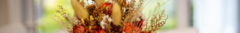 Banner de la categoría RAMOS CHICOS