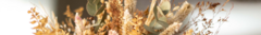 Banner de la categoría RAMOS MEDIANOS