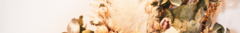 Banner de la categoría RAMOS GRANDES