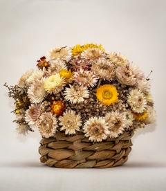 JARDÍN FLORAL - tienda online