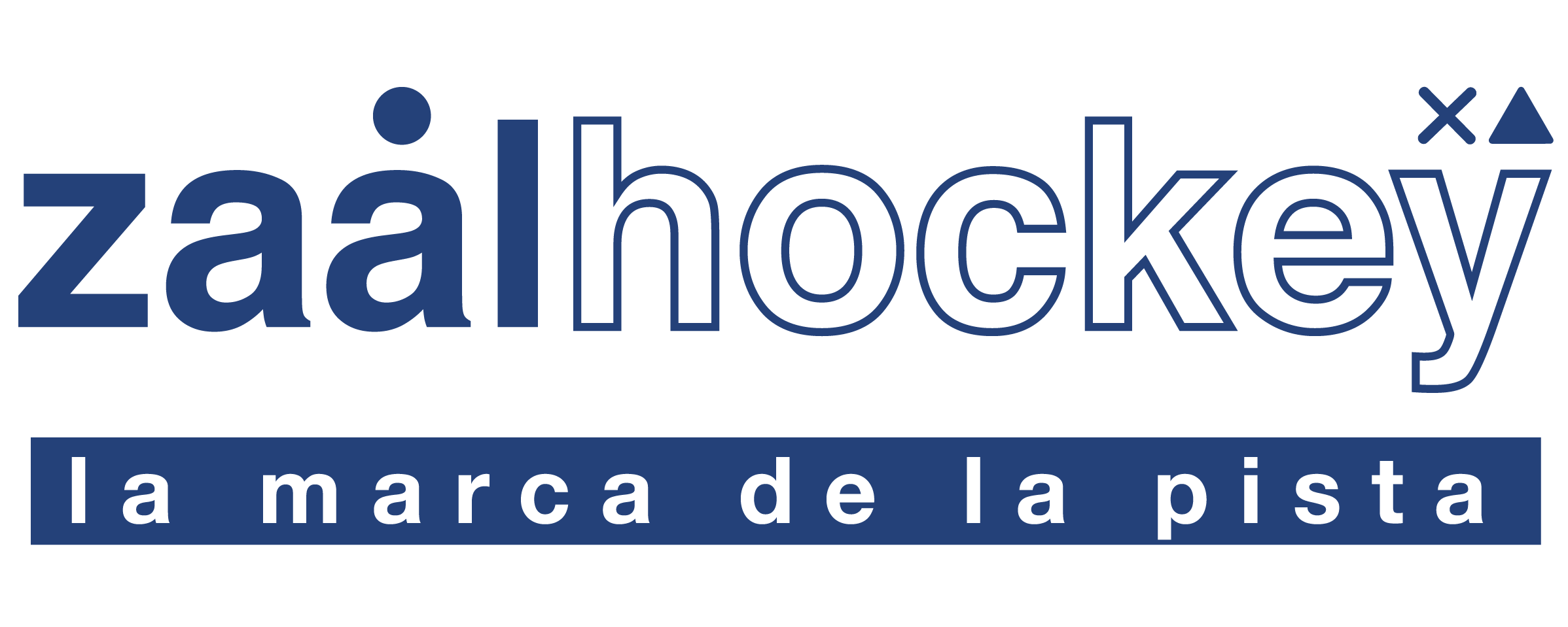zaalhockey