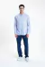 (31003741) CAMISA CLASSIC MOTT - Prototype Mayorista
