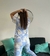 SET DUCK - comprar online