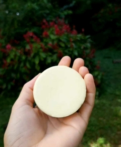 Desodorante Sólido (60 g) - comprar online