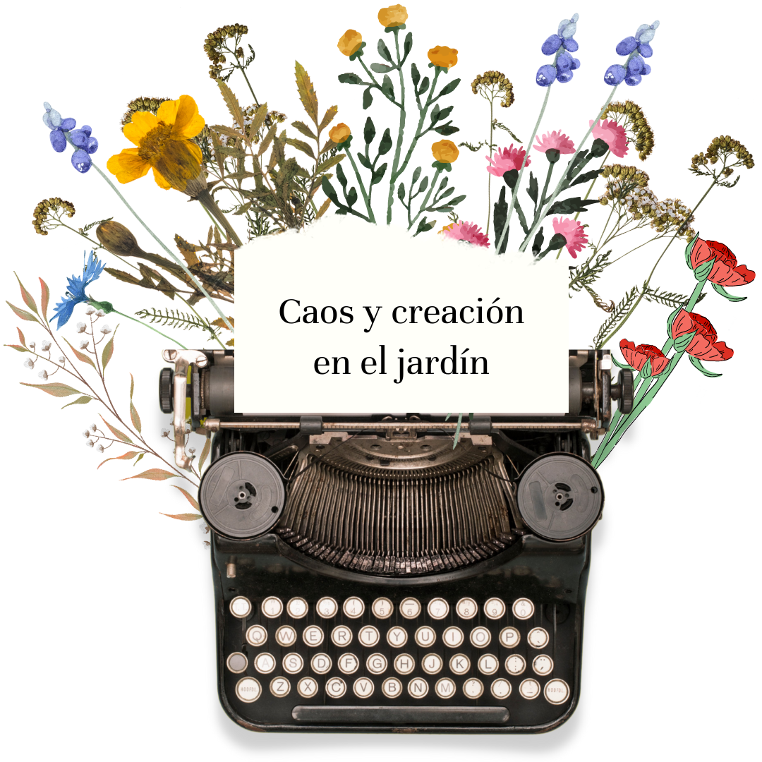 Carrusel 1