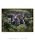 Cachoeira Chapada - Quadro Decorativo - comprar online