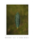 Leaf - Natureza - Quadro Decorativo - Artemon