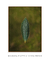 Leaf - Natureza - Quadro Decorativo - comprar online