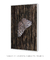 Mariposa - Natureza - Quadro Decorativo - loja online