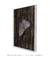 Mariposa - Natureza - Quadro Decorativo - loja online