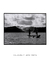 Pescadores Itacaré - Quadro Decorativo - Artemon