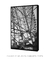 Roda B&W - Roda Gigante - Quadro Decorativo - comprar online