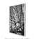 Roda B&W - Roda Gigante - Quadro Decorativo - loja online