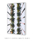 Voador - Rio de janeiro - Quadro Decorativo - loja online
