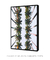 Voador - Rio de janeiro - Quadro Decorativo - comprar online