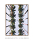 Voador - Rio de janeiro - Quadro Decorativo - comprar online