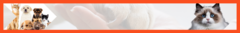 Banner da categoria Pet