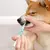 Removedor de Tártaro para Animais de Estimação, Limpeza dos Dentes - PANDORA MAGAZINE E SPORTS