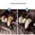 Removedor de Tártaro para Animais de Estimação, Limpeza dos Dentes - PANDORA MAGAZINE E SPORTS