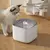 Fonte de água filtrante do gato da grande capacidade, Auto recircular o filtro, - comprar online