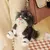 Kawaii Cinderela Brinquedos de pelúcia para crianças, gato Lúcifer, anime mac - loja online