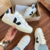 Veja Vert - comprar online