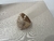 Anel Cravejado Quadrado Grosso - Aro 17 - Banhado a Ouro 18k - PTK119G1A - comprar online