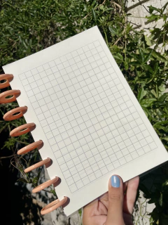 CUADERNO A5 (Rayado/Punteado/Cuadriculado) - tienda online