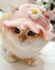 Gorros para gatitos