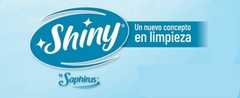 Banner de la categoría Shiny