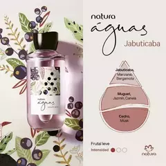 Aguas Jabuticaba 150ml en internet