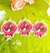 Silly Strawberrys Sonic - Adesivos - loja online