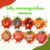 Silly Strawberrys Sonic - Adesivos - comprar online