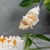 Torta chaja mini (10 cm) - comprar online
