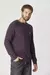 SWEATER RAGLAN POINT PENGUIN - comprar online