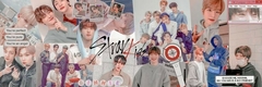 Banner de la categoría Stray Kids