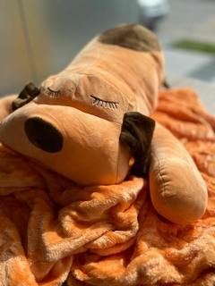 Imagen de MANTA + ALMOHADA MODELOS VARIOS