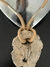 Collar Eco Stone Premium - comprar online