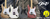 Imagem do banner rotativo 2