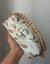 Neceser / Cartuchera con voladitos Hojas - comprar online