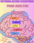 Cuadernillo Estimulación Cognitiva Adultos 1