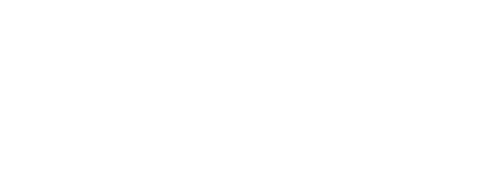 Repuestos Warnes
