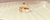 Anel Folheado Em Ouro 18k - Maria Portto Joias 