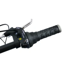 BICICLETA FIRE BIRD PLEGABLE RODADO 20 en internet