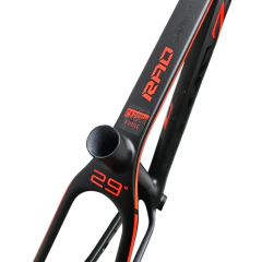 CUADRO MAZZI RAD R29 T17 CARBONO CONICO - tienda online