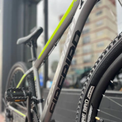 BICICLETA MTB FIRE BIRD 29 DE ALUMINIO - 21v - FRENOS A DISCO TALLE M en internet