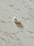 Ear Cuff de Plata