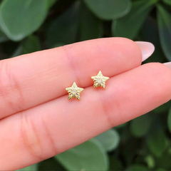 Aretes de estrella