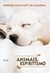 Livro Animais e Espiritismo